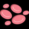 Anemia