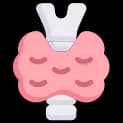 thyroid